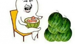 孩子吃娱乐圈的瓜,孩子如何成为娱乐圈的小瓜王