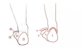 漫画脚,生活百态的趣味缩影