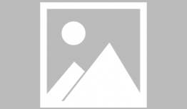 樱花91直播,带你领略别样视听盛宴